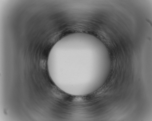 X0000096190177200801181017
