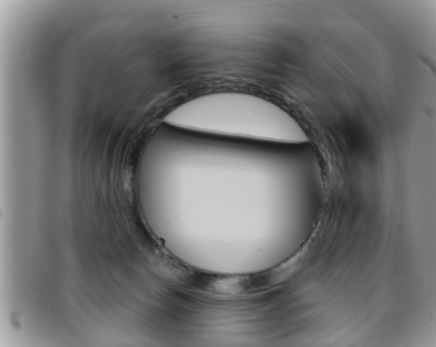 X0000096190178200801181017