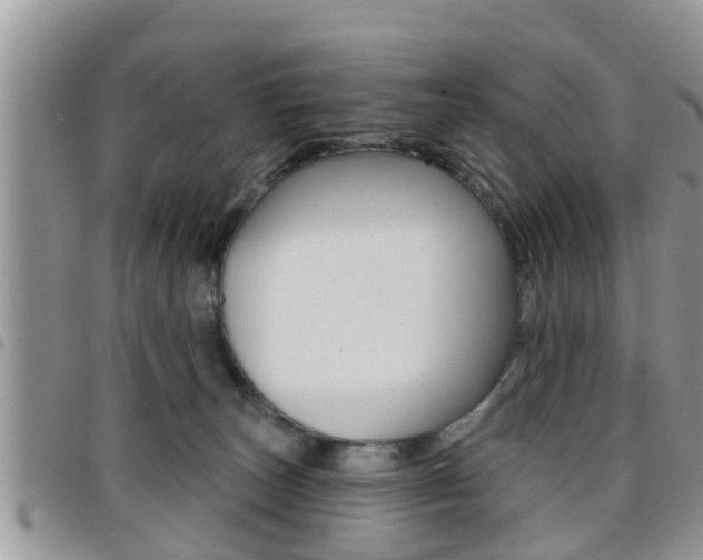 X0000096190179200801181017