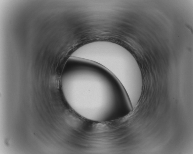 X0000096190180200801181017