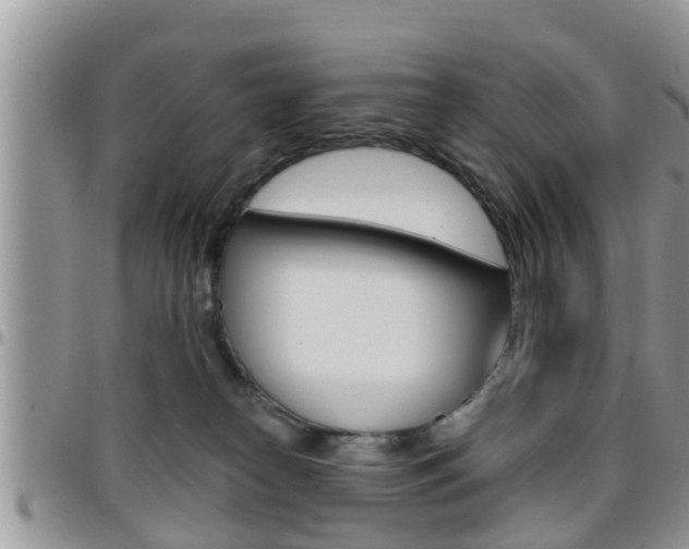 X0000096190182200801181017