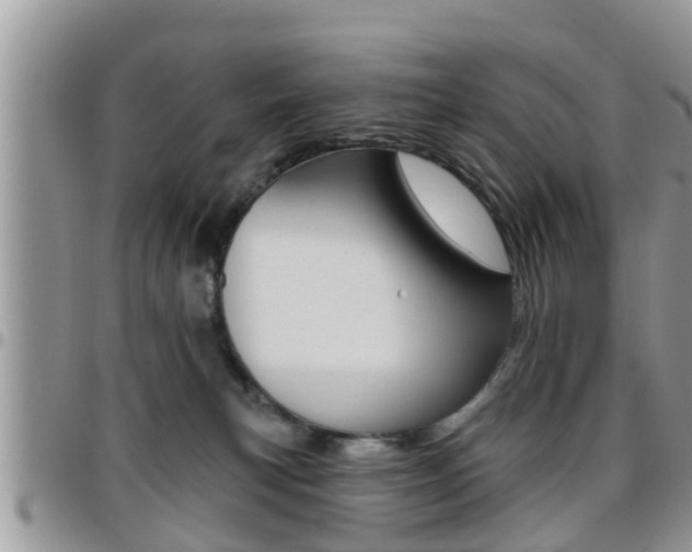 X0000096190183200801181017