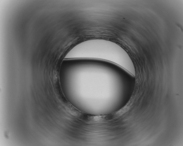 X0000096190184200801181017