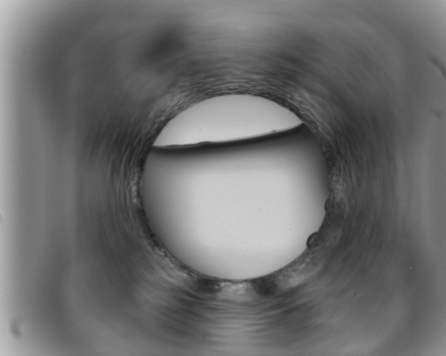 X0000096190185200801181017