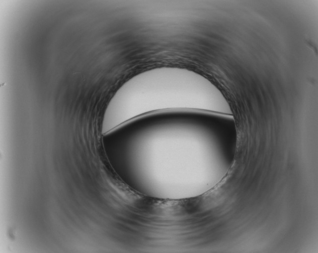 X0000096190186200801181017