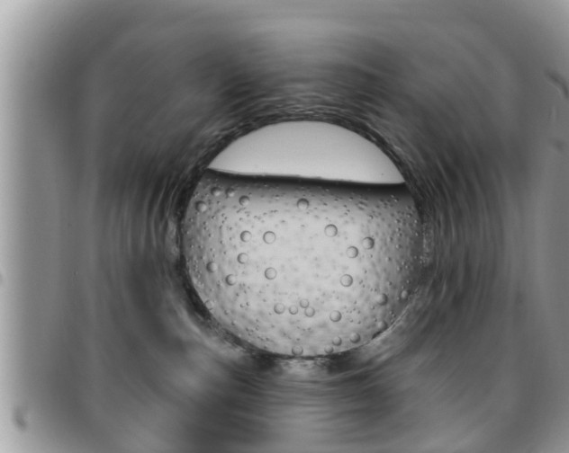 X0000096190187200801181017