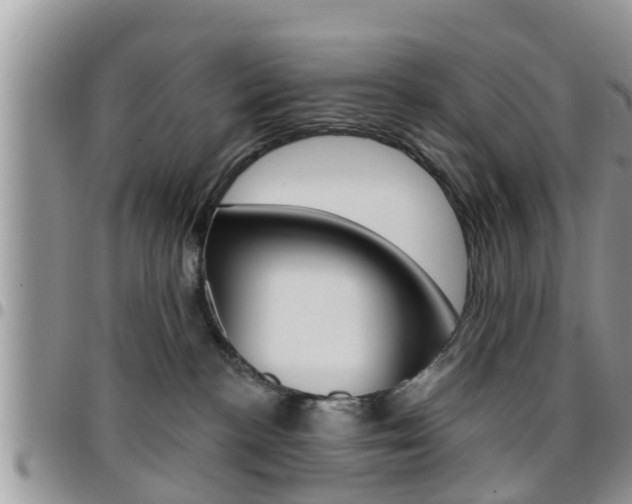 X0000096190188200801181017
