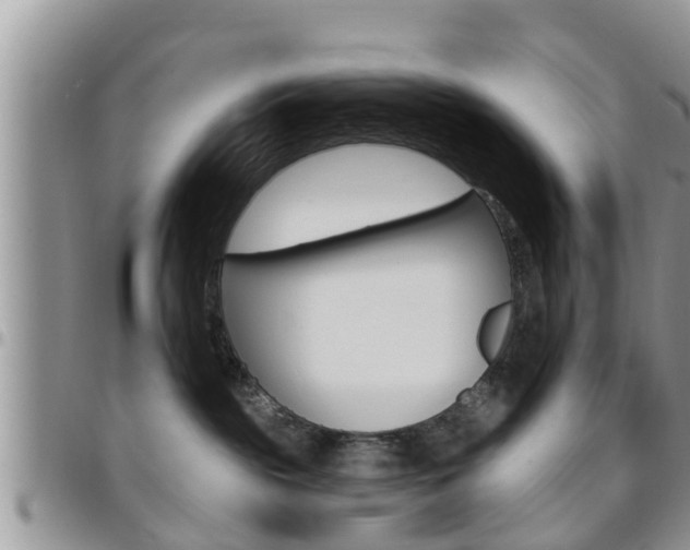 X0000096190189200801181017