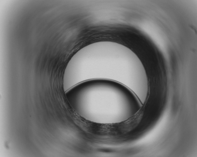 X0000096190190200801181017