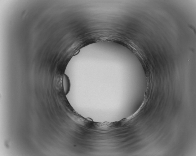 X0000096190191200801181017