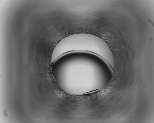 X0000096190192200801181017