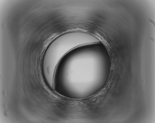 X0000096190193200801181016