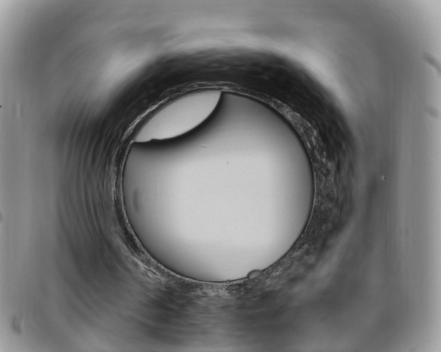 X0000096190194200801181016