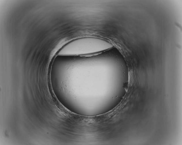 X0000096190195200801181016