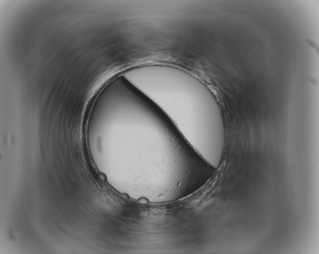 X0000096190196200801181016