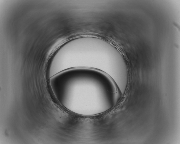 X0000096190197200801181016