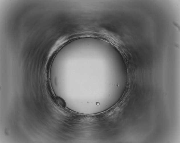 X0000096190198200801181016