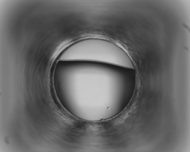 X0000096190199200801181016