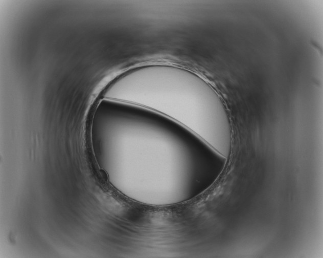 X0000096190200200801181016