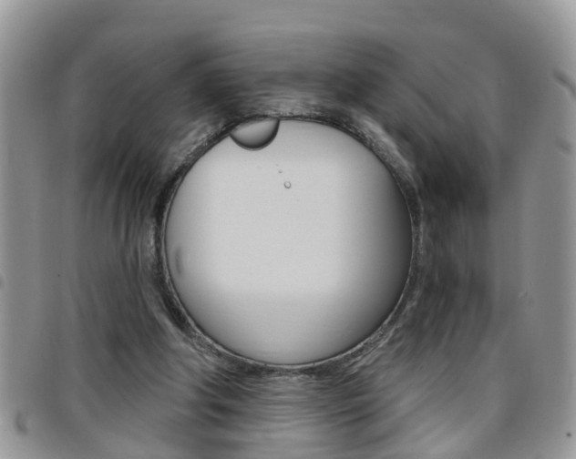 X0000096190202200801181016