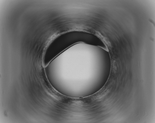 X0000096190203200801181016