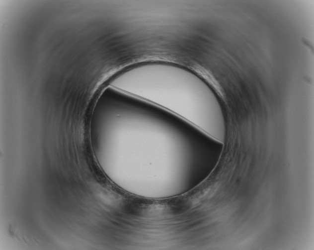 X0000096190204200801181016