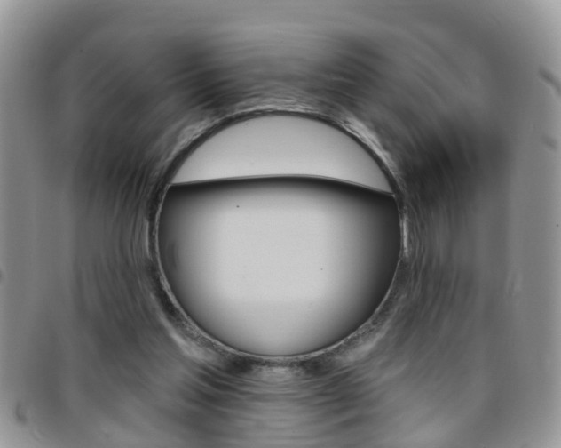 X0000096190205200801181016