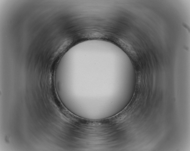X0000096190206200801181016