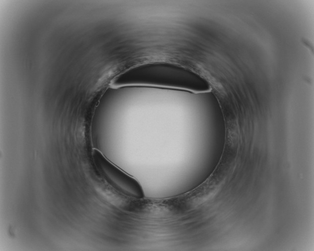 X0000096190207200801181016