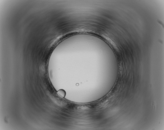 X0000096190208200801181016