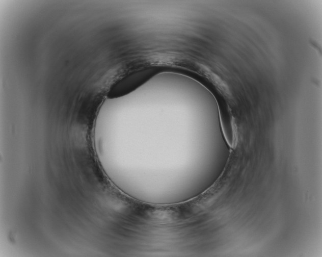 X0000096190209200801181016