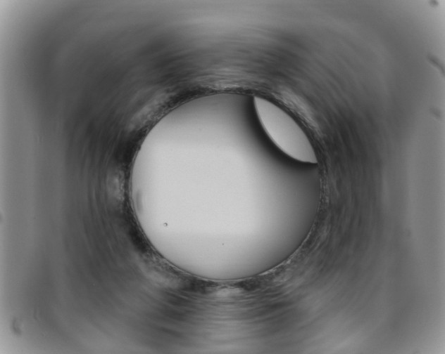 X0000096190210200801181016
