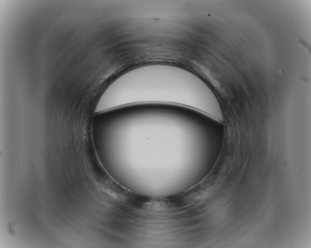 X0000096190211200801181016