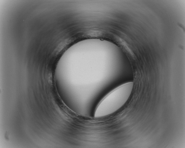 X0000096190212200801181016