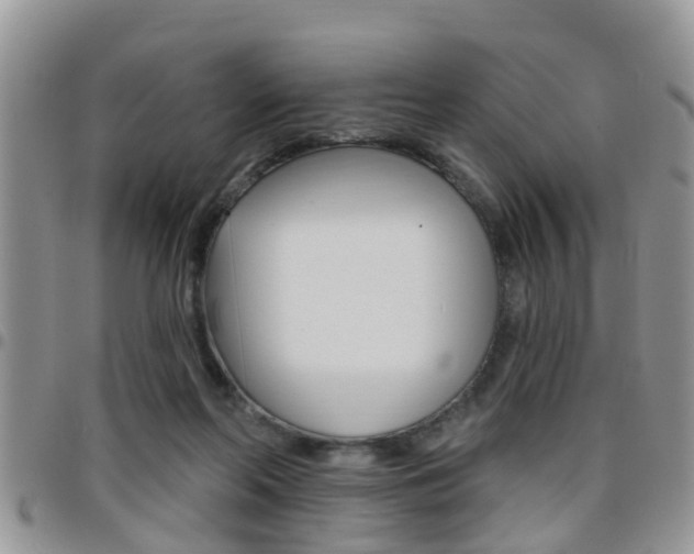 X0000096190214200801181016