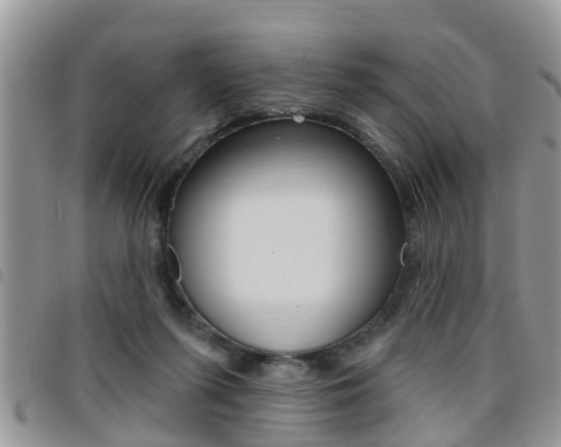 X0000096190215200801181016