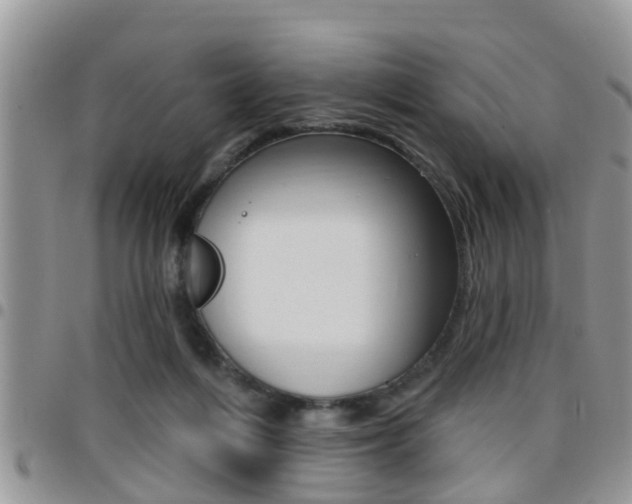 X0000096190216200801181016