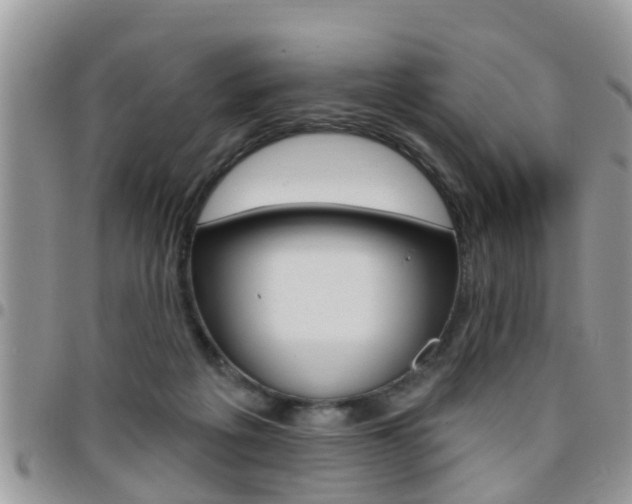 X0000096190217200801181016