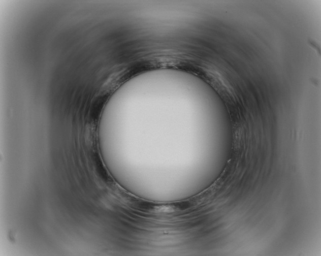 X0000096190218200801181016
