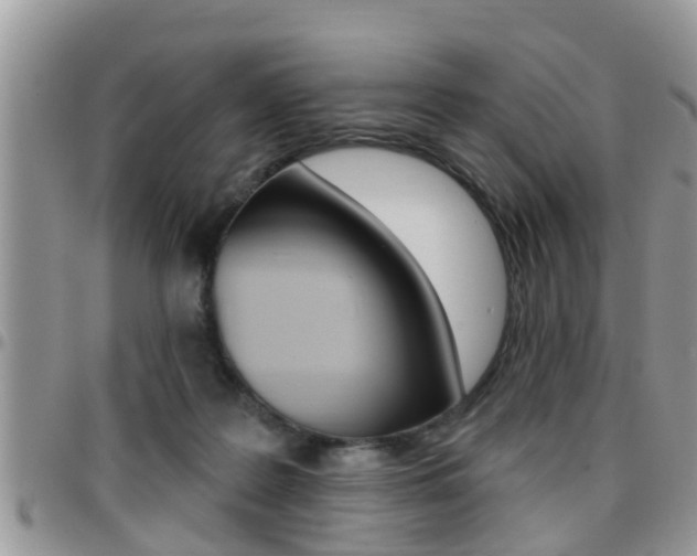 X0000096190219200801181016