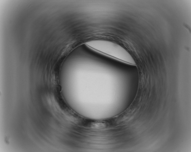 X0000096190220200801181016