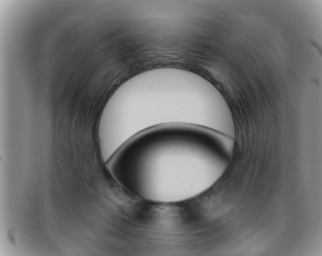 X0000096190221200801181016