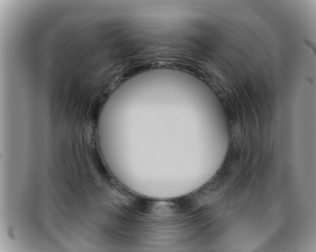 X0000096190222200801181016