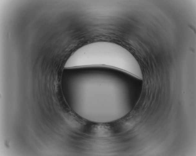X0000096190223200801181016