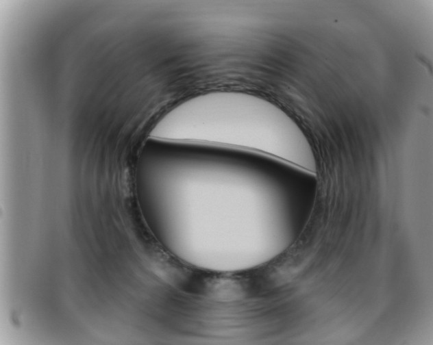 X0000096190224200801181016