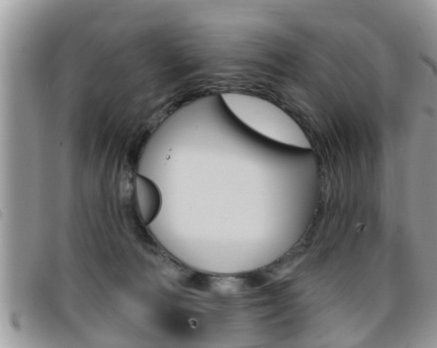 X0000096190226200801181016