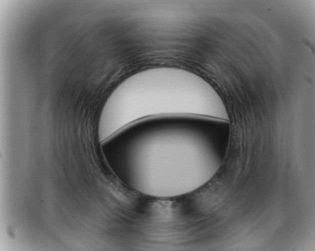 X0000096190227200801181016