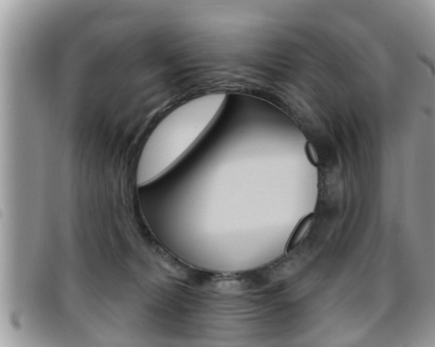 X0000096190228200801181016