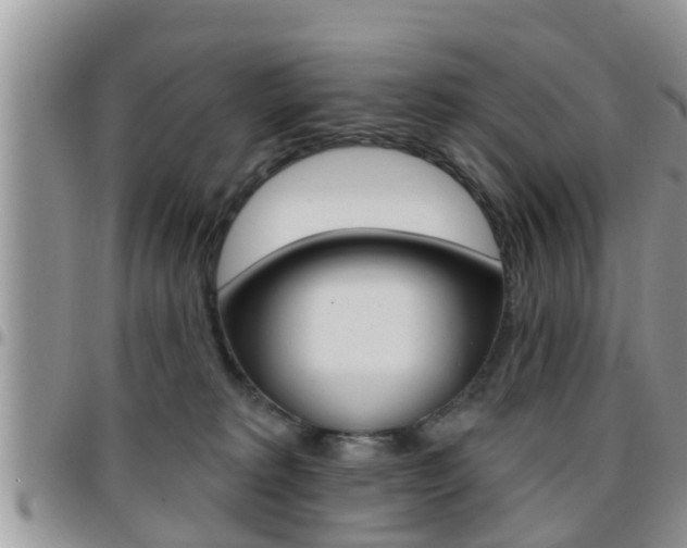 X0000096190229200801181016