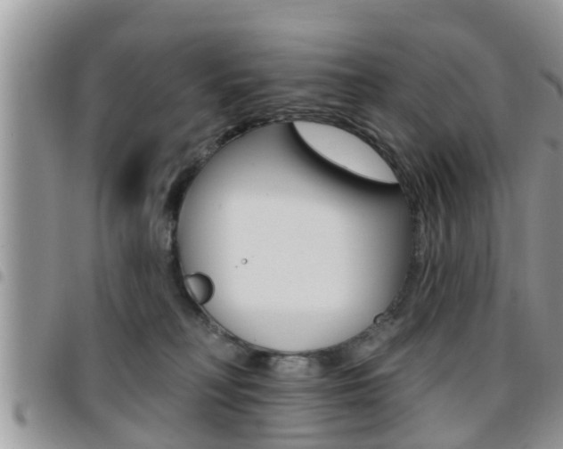 X0000096190230200801181016